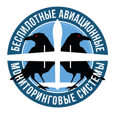 БАМС — Беспилотные авиационные мониторинговые системы